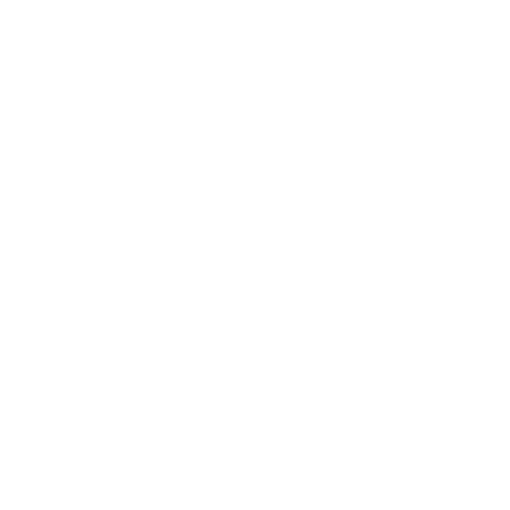 LOGO BNB